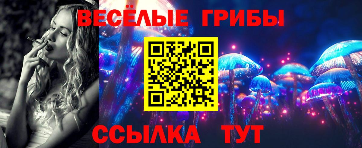Вятские Поляны  Галлюциногенные грибы MAGIC MUSHROOMS  Вход с VPN 